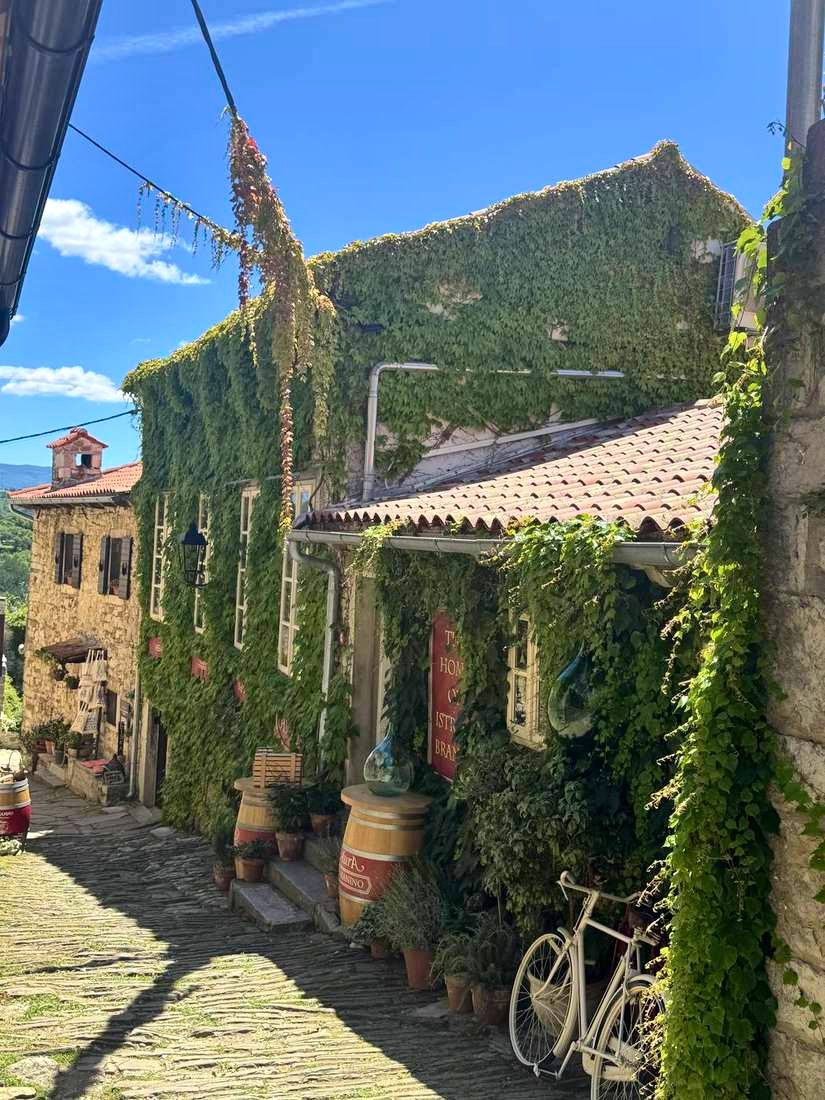 Ivy, barrels and a bicycle in Hum