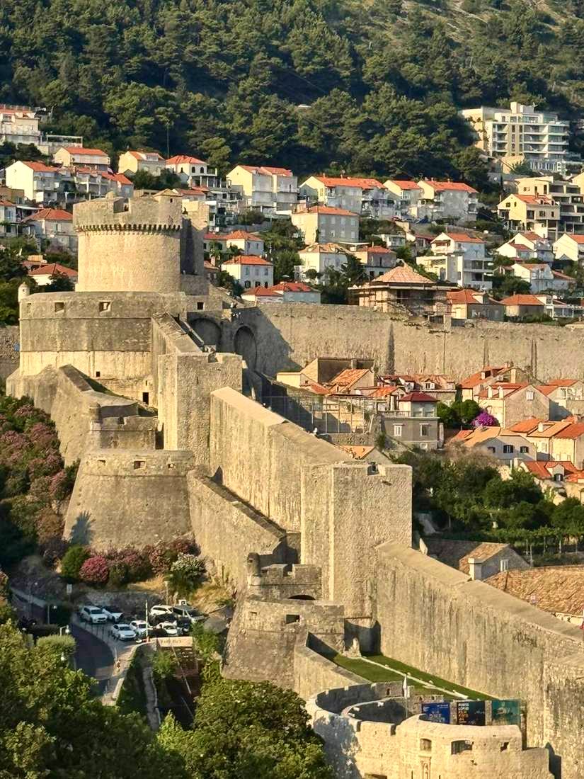 Tower and the north wall