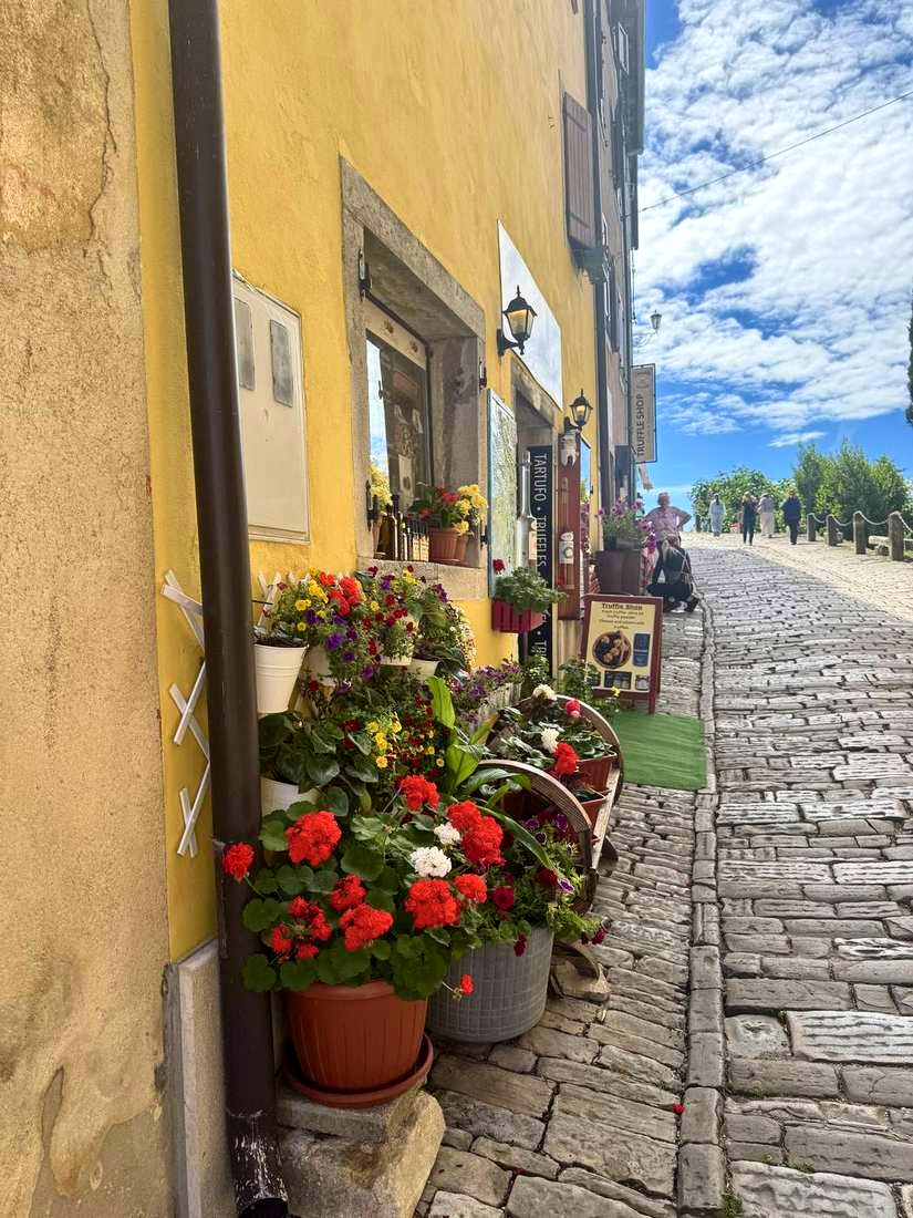 Geraniums and a truffle shop on the climb up